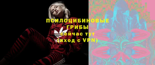 спиды Армянск