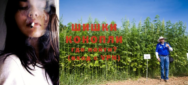 ALPHA PVP Богородицк