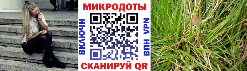 kraken как зайти купить наркотик Братск Галлюциногенные грибы Psilocybine cubensis